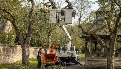 Tree service crew in Buffalo, NY providing expert tree removal, pruning, and stump grinding